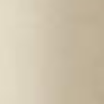 Profile photo of roddey